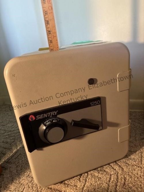 Lewis Auction